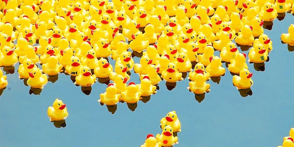 image de canards en plastique