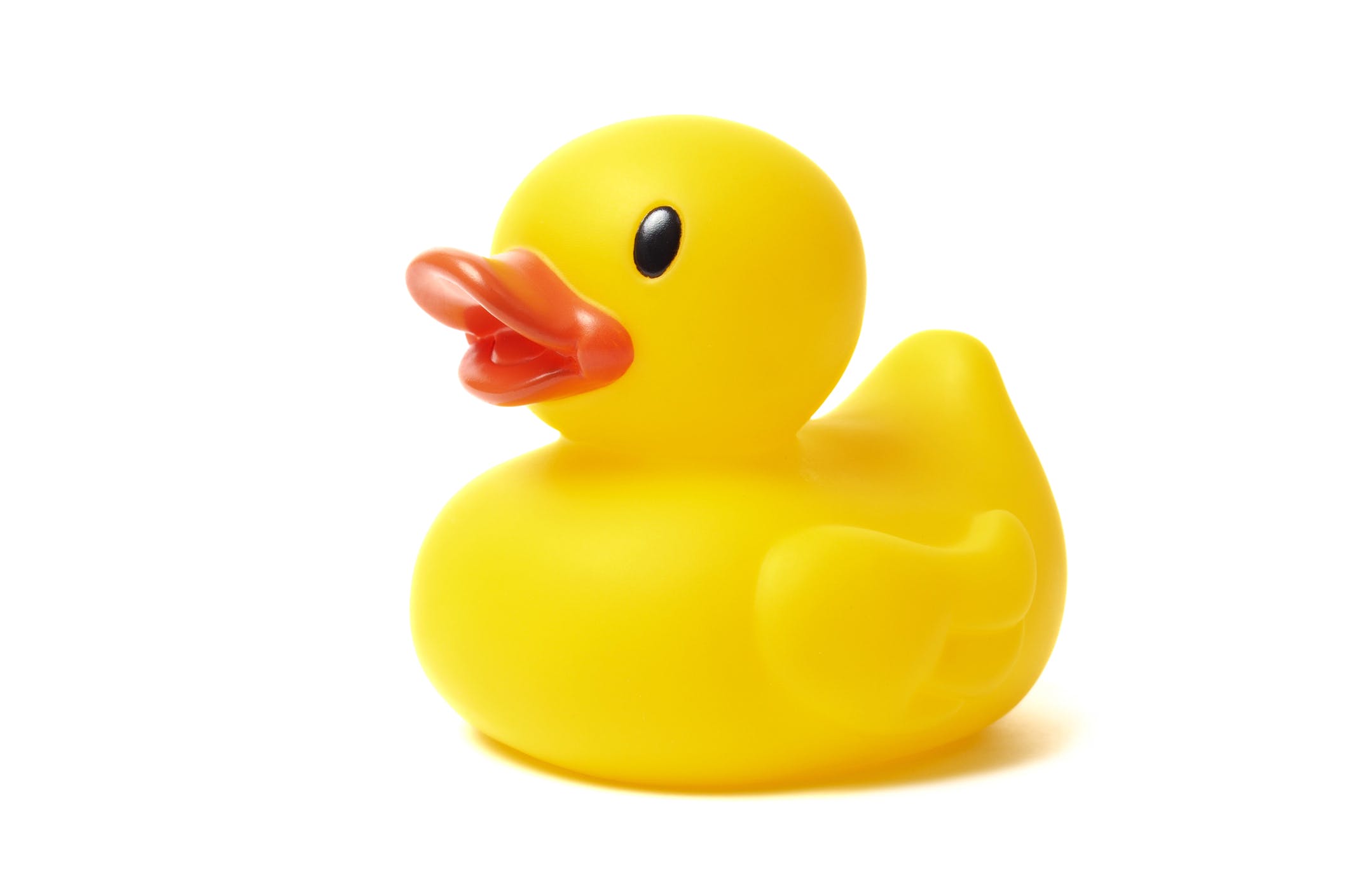 image de canard en plastique