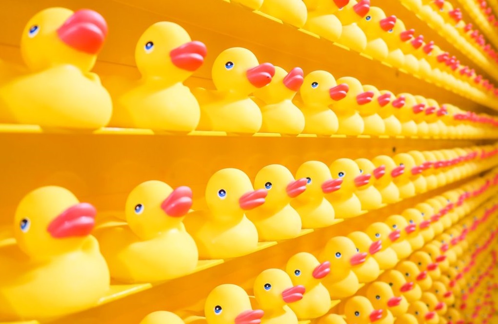 image de canards en plastique