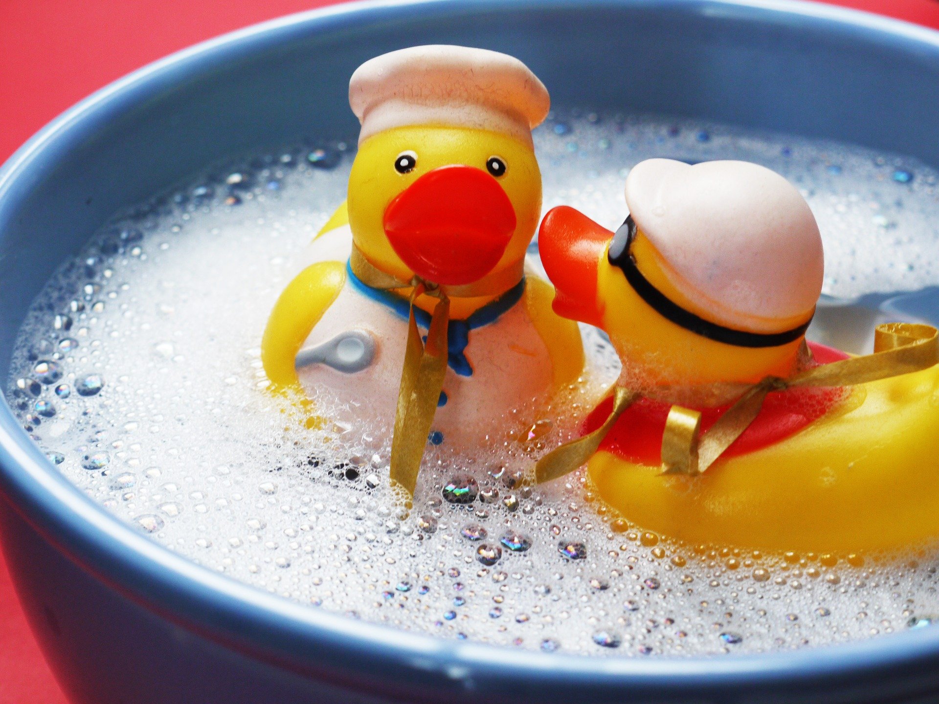 canard