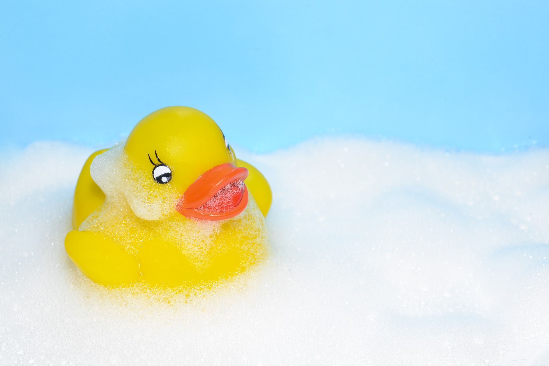 canard