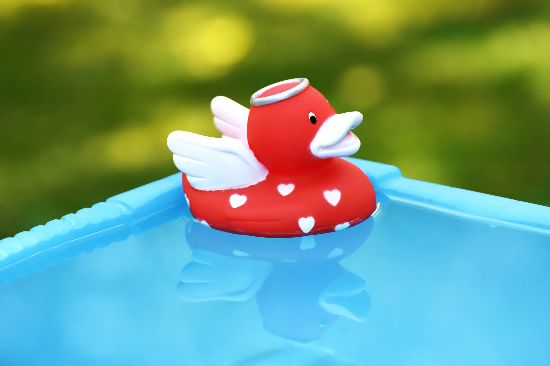 canard