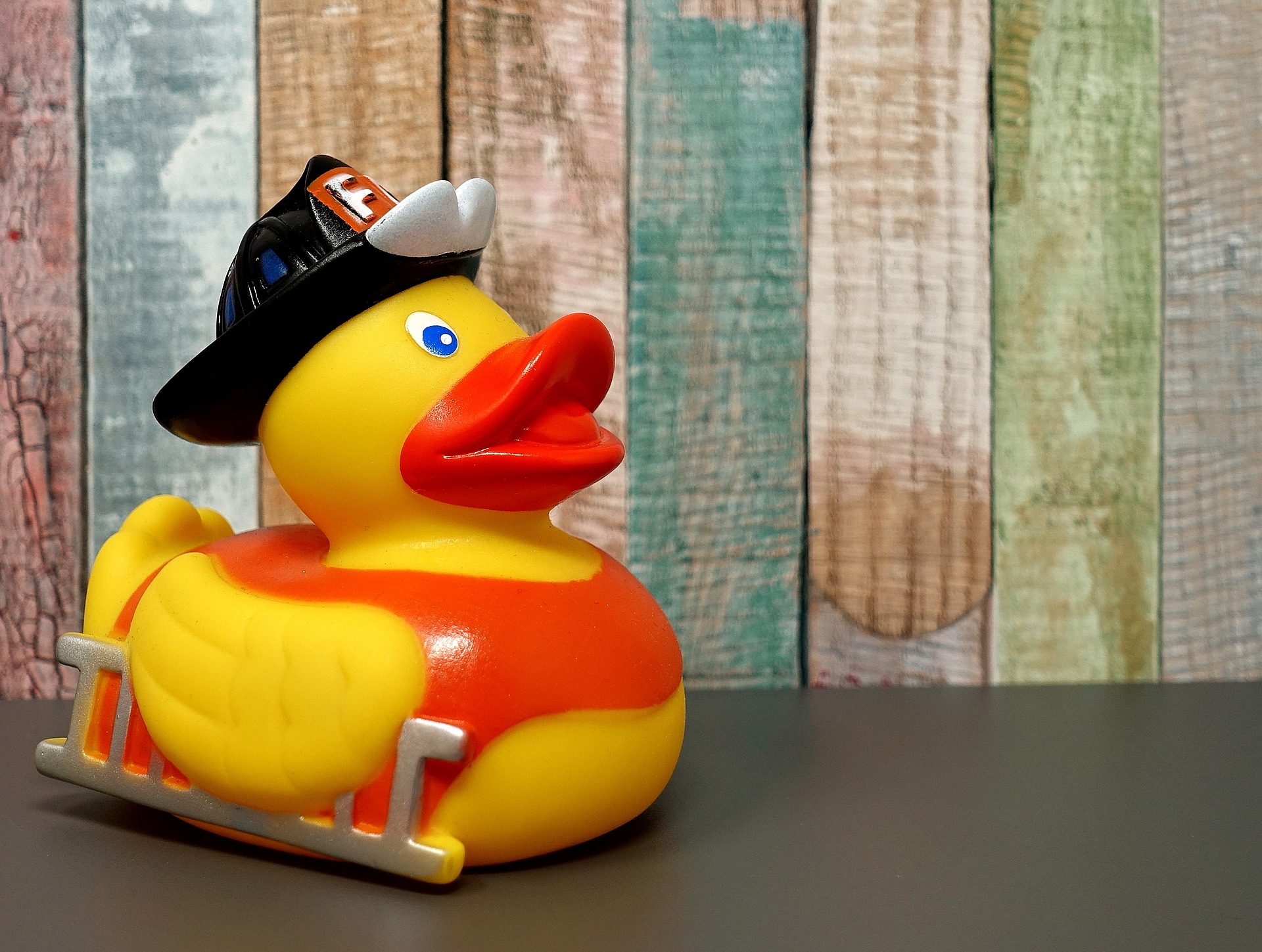 canard