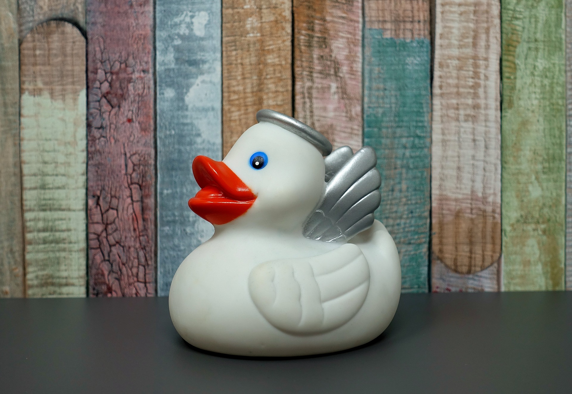 canard