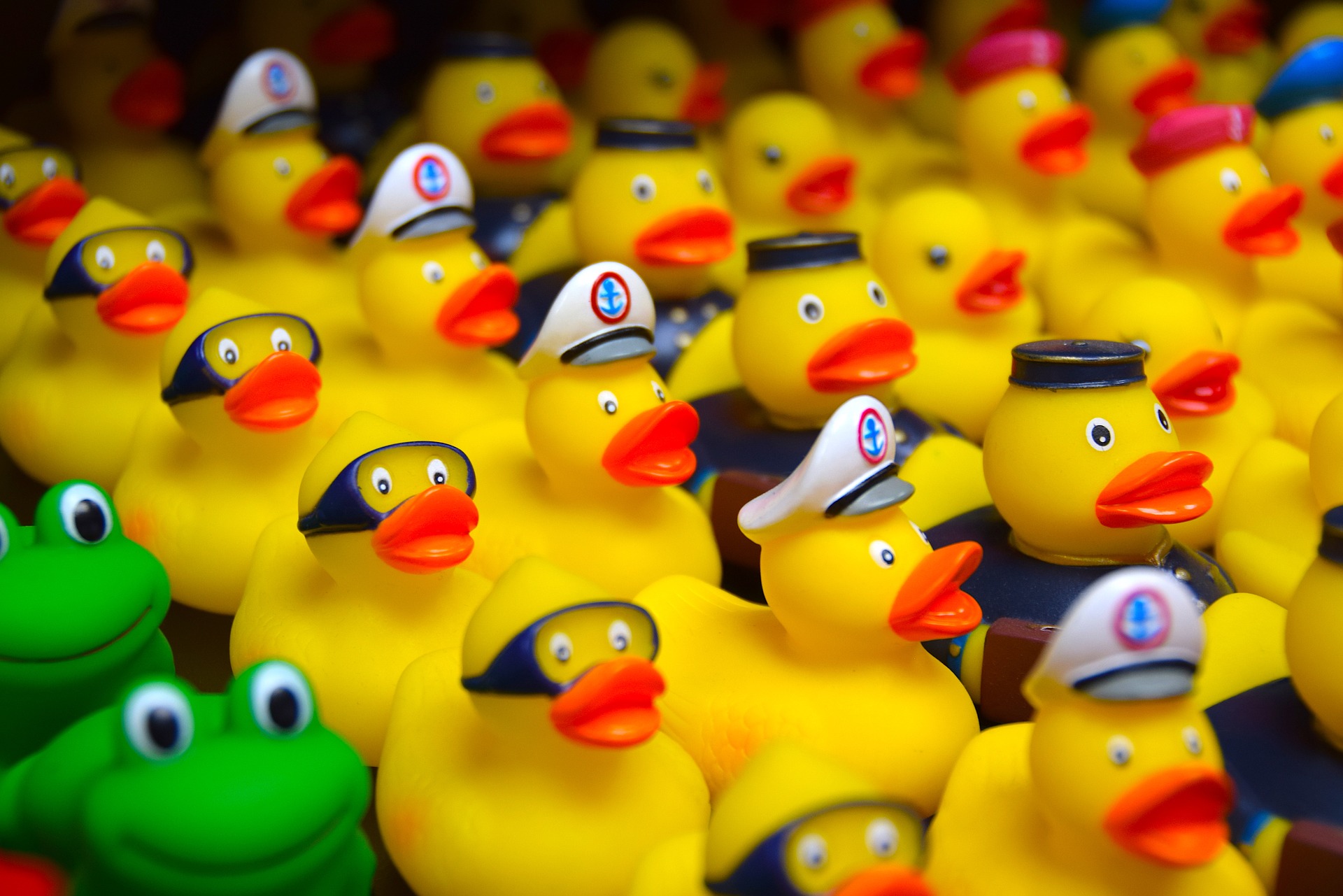 canard